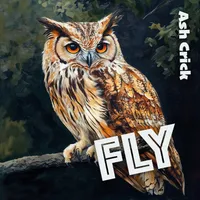 Fly